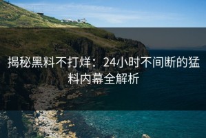 揭秘黑料不打烊：24小时不间断的猛料内幕全解析