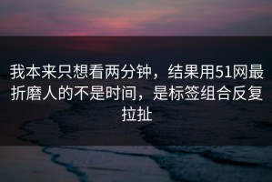我本来只想看两分钟，结果用51网最折磨人的不是时间，是标签组合反复拉扯