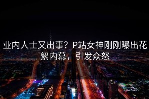 业内人士又出事？P站女神刚刚曝出花絮内幕，引发众怒