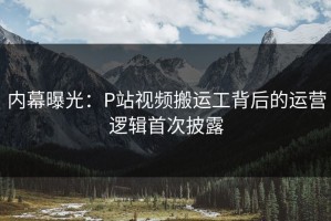 内幕曝光：P站视频搬运工背后的运营逻辑首次披露