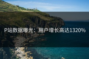 P站数据曝光：用户增长高达1320%
