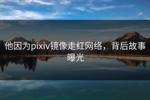 他因为pixiv镜像走红网络，背后故事曝光
