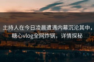 主持人在今日凌晨遭遇内幕沉沦其中，糖心vlog全网炸锅，详情探秘