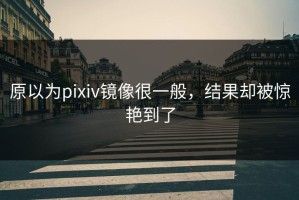 原以为pixiv镜像很一般，结果却被惊艳到了