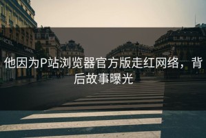 他因为P站浏览器官方版走红网络，背后故事曝光