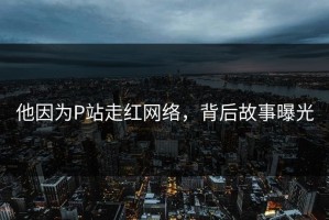 他因为P站走红网络，背后故事曝光