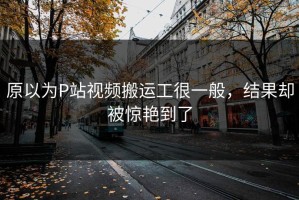 原以为P站视频搬运工很一般，结果却被惊艳到了