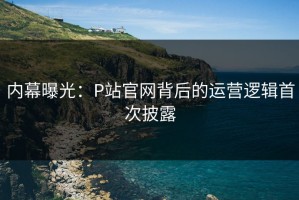 内幕曝光：P站官网背后的运营逻辑首次披露