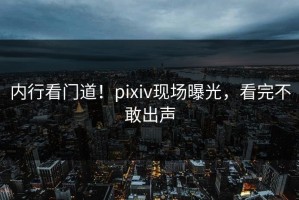 内行看门道！pixiv现场曝光，看完不敢出声