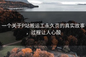 一个关于P站搬运工永久页的真实故事，过程让人心酸