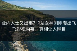 业内人士又出事？P站女神刚刚曝出飞飞影视内幕，真相让人瞠目