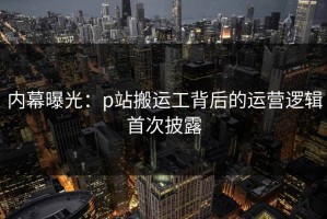 内幕曝光：p站搬运工背后的运营逻辑首次披露
