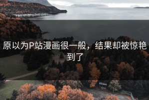 原以为P站漫画很一般，结果却被惊艳到了