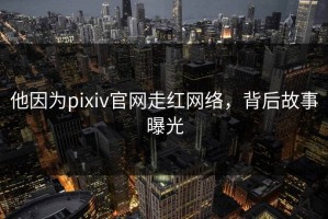 他因为pixiv官网走红网络，背后故事曝光