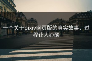 一个关于pixiv网页版的真实故事，过程让人心酸