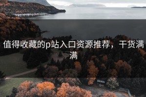 值得收藏的p站入口资源推荐，干货满满