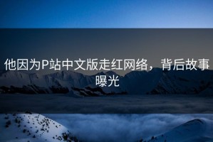 他因为P站中文版走红网络，背后故事曝光