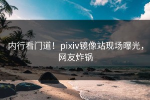 内行看门道！pixiv镜像站现场曝光，网友炸锅