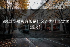 p站浏览器官方版是什么？为什么突然爆火？