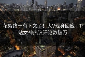 花絮终于有下文了！大V现身回应，P站女神热议评论数破万