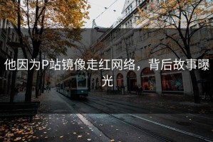 他因为P站镜像走红网络，背后故事曝光