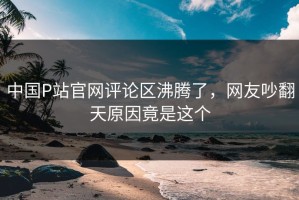 中国P站官网评论区沸腾了，网友吵翻天原因竟是这个