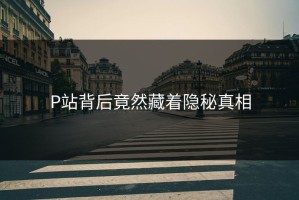 P站背后竟然藏着隐秘真相