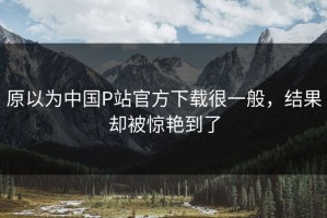 原以为中国P站官方下载很一般，结果却被惊艳到了