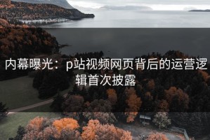 内幕曝光：p站视频网页背后的运营逻辑首次披露