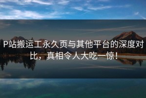 P站搬运工永久页与其他平台的深度对比，真相令人大吃一惊！