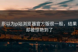 原以为p站浏览器官方版很一般，结果却被惊艳到了