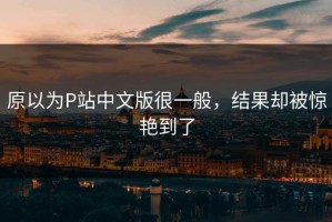 原以为P站中文版很一般，结果却被惊艳到了