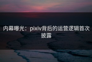 内幕曝光：pixiv背后的运营逻辑首次披露