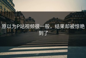 原以为P站视频很一般，结果却被惊艳到了