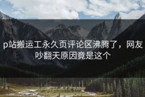 p站搬运工永久页评论区沸腾了，网友吵翻天原因竟是这个