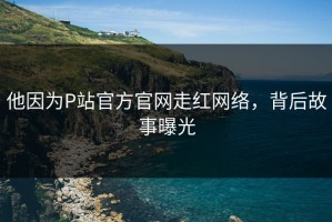 他因为P站官方官网走红网络，背后故事曝光