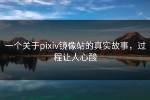 一个关于pixiv镜像站的真实故事，过程让人心酸