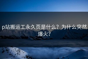 p站搬运工永久页是什么？为什么突然爆火？