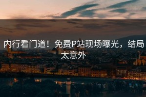 内行看门道！免费P站现场曝光，结局太意外