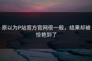 原以为P站官方官网很一般，结果却被惊艳到了