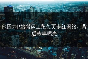 他因为P站搬运工永久页走红网络，背后故事曝光