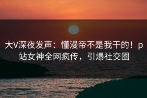 大V深夜发声：懂漫帝不是我干的！p站女神全网疯传，引爆社交圈