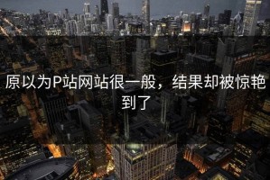 原以为P站网站很一般，结果却被惊艳到了