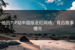 他因为P站中国版走红网络，背后故事曝光