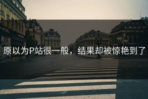 原以为P站很一般，结果却被惊艳到了