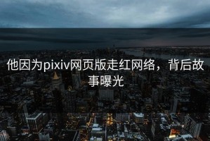 他因为pixiv网页版走红网络，背后故事曝光