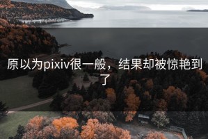 原以为pixiv很一般，结果却被惊艳到了