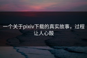 一个关于pixiv下载的真实故事，过程让人心酸