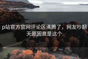 p站官方官网评论区沸腾了，网友吵翻天原因竟是这个