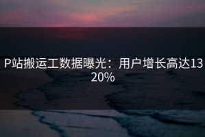 P站搬运工数据曝光：用户增长高达1320%